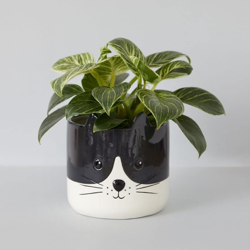 balvi Kitty Flower Pot Colour Black and White Original Flower