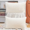 Madizz Pack of 2 Super Soft Velvet Decorative Cushion Covers