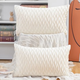 Madizz Pack of 2 Super Soft Velvet Decorative Cushion Covers with Texture Luxury Style Throw Pillow Cases Pillow Shell for Sofa Bedroom White 12x20 inch Rectangular