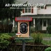 Smart Bird Feeder with Camera Solar Powered, 2K HD Video,