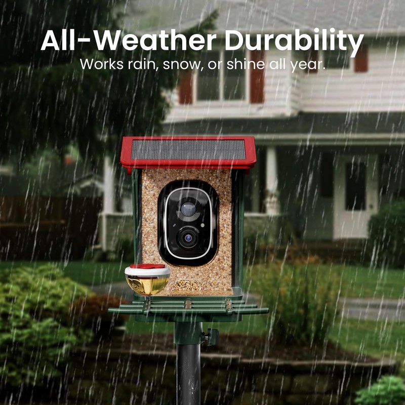 Smart Bird Feeder with Camera Solar Powered, 2K HD Video,