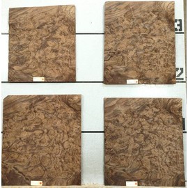 Walnut Burl Wood Veneer 16" x 19" raw no Backing 1/42" Thickness AAA Grade # 120