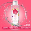 Pond's Agua Micelar Noche y Día 300 g