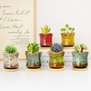 Succulent Pots with Drainage Tray, Cute Ceramic Pots for Plants