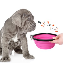 Hun Travel Bowl (Pink, 2000 ml)