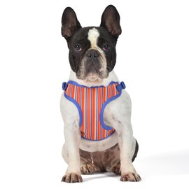 The Dodo Dog Harness, Striped, Size Medium; Easy Step-in Harness for Dogs; Breathable Mesh Fabric; Snap-Together, Pinch Release Buckle, Ring for Leash Attachment; Everyday Pet Apparel
