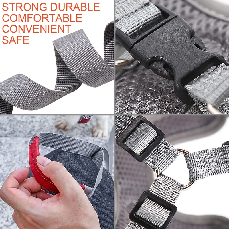 Wocharm Dogs Breathable Harness with Leash Adjustable Outdoor Walking Pet
