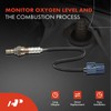 A-Premium - Sensor de oxígeno O2 compatible con Nissan Altima