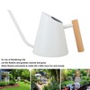 Watering Can with Long Spout 800ml Stainless Steel Matte Indoor