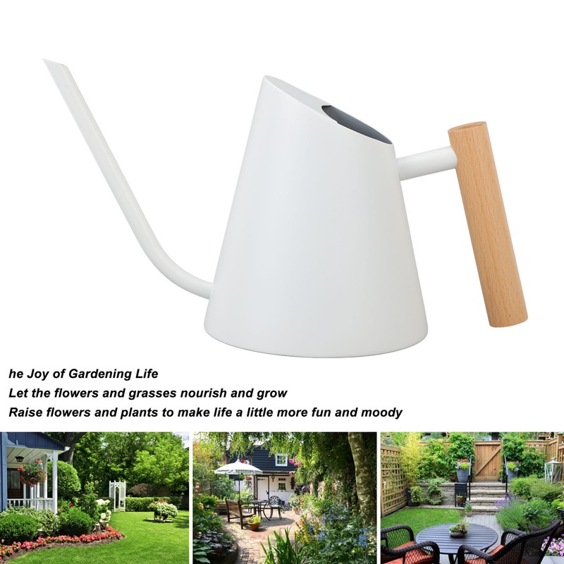 Watering Can with Long Spout 800ml Stainless Steel Matte Indoor