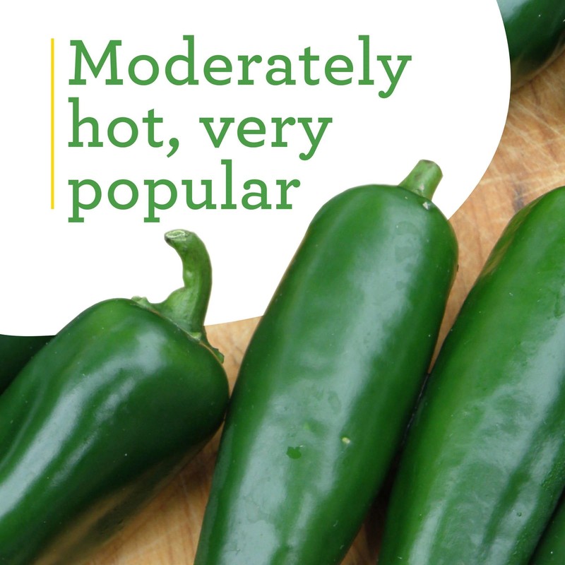Bonnie Plants Hot Banana Pepper 19.3 oz. 4-pack, Yellow