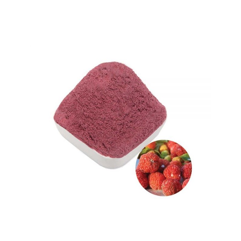 꾸지뽕열매추출분말 100g 샘플 Mulberry Fruit Extract Powder 100g Sample