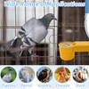 kathson 20 Pcs Bird Drinker Feeder Plastic Soda Pop Water