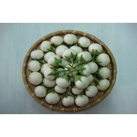 50 Seeds Solanum macrocarpon Seeds, White Eggplant, Ornamental Eggplant, Solanum ovigerum, Easter Egg Plant, Solanum dasyphyllum, Solanum undatum Seeds