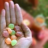 SOUR PATCH KIDS Apple Harvest Soft & Chewy Candy, 6