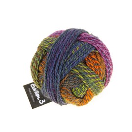 Schoppel Zauberball Edition 3 Pure Merino Wool Crochet Wool Knitting Yarn, 100% Wool for Needle Size 3 to 3.5 mm (2328 Garden Days)