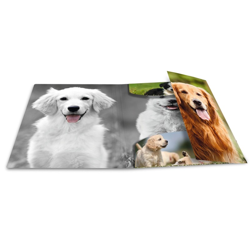 HERMA Collecting Folders A4 Dog Set, 3 Pieces, Children's Corner