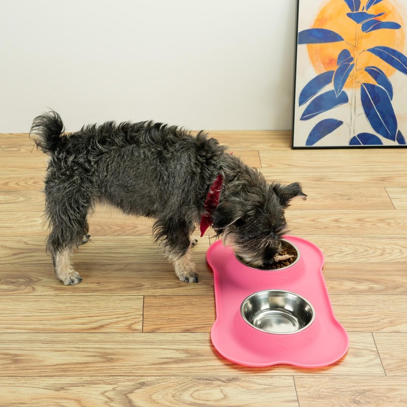 Conlun Stainless Steel Dog Bowls with Non-Slip Silicone Mat, Spill