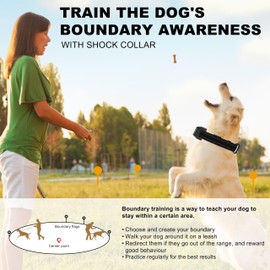 GPS Wireless Dog Fence System,Waterproof Rechargable GPS Shock Collar, Radium 30-1000 Yard, Electric Fence for Dogs with Boundary Traing Collar System,no Wire & dig