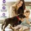 Flyjobs Dog Pheromone Calming Diffuser for Dogs, 4×48ml Refills &