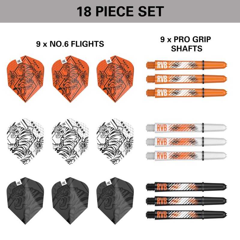Target Darts Raymond Van Barneveld Ink Design No.6 Dart Flights