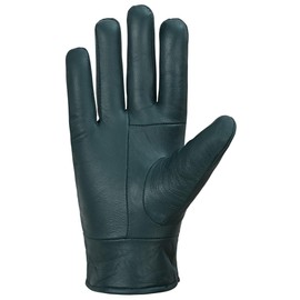Home-Kitchen-Pets Ladies Leather Gloves – Soft, Stylish, and Warm-Winter,Driving and Outdoor Fashion Mittens Available in S/M & M/L Sizes (Green, M/L)