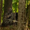 LOOGU Mosquito Suits, Net Bug Pants & Jacket Hood Sets
