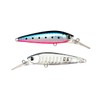 Ams Design (ima) Ataru (ataru) 70S #X5632 Sardine Grand Dissection