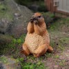 titihuirie 3PCS Groundhog Figurine Groundhog Sculpture Groundhog Model Animal Model