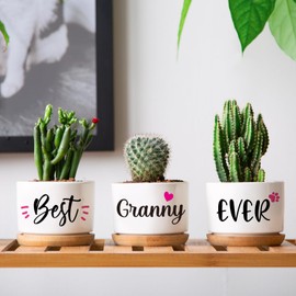 Giftasy Granny Gifts, Granny Christmas Birthday Gifts, Best Granny Ever Succulent Pots Gifts for Granny from Grandchildren, Unique Garden Gift Ideas for Granny on Birthday Christmas Mothers Day
