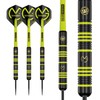 Winmau Michael Van Gerwen MvG Ambition - Juego de Dardos