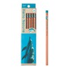 Tombow Pencil KB-KHNDL2-2B 2B (Dolphin Pattern) Hello Nature Hand Dolphin