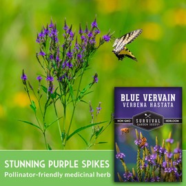 Survival Garden Seeds Blue Vervain Seeds for Planting (Verbena Hastata) | North American Native Wetland Wildflower | Butterfly Magnet - 1 Pack