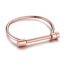 Jaywenlend Men Women's Cuff Bracelet Bangle Bar Screw Shackle Novelty In Polished Stainless Steel (Rose Gold)
