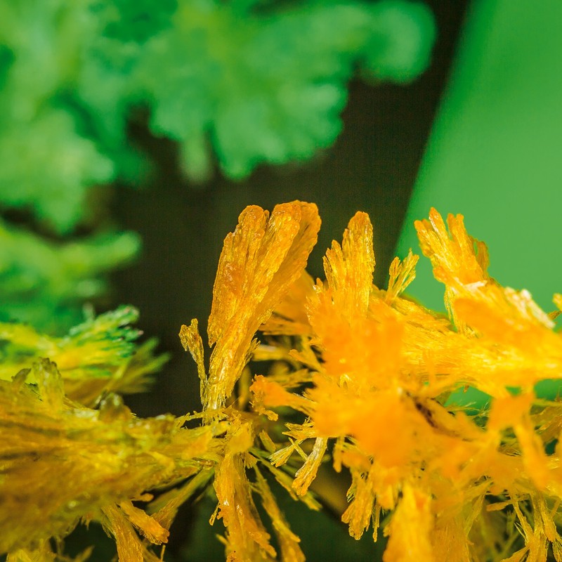 Tobar Magic Growing Garden Crystal Activity Kit