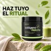 Met 5 Colágeno Hidrolizado con Matcha Sabor Vainilla, 450 gr
