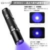 LIGHTFE UV Flashlight Ultraviolet Lamp UV 303 AIPX-8 Waterproof Hand