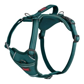 HALTI Anatomy Dog Harness with Handle - Provides Your Dog Freedom of Movement for Comfortable Walking. 3 Leash Attachment Points, Neoprene Padded, Adjustable, and Reflective (Size Large, Teal)