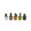 Magnetic Planter Pots Set of 5 with Mini Watering Can