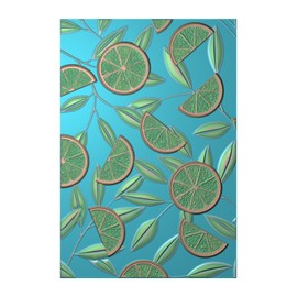 BAOFALI 3D Embossing Folders Lemon Textured for Card Making,Embossing Template Paper Card Embossing Stencil for DIY Scrapbooking Photo Album Card Paper Craft Decoration 6.3" L x 4.5" W