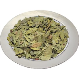 HealinGifts Bearberry Kinnikinnick Dried Leaves 1 Oz Pack of 3