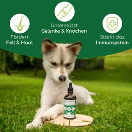 Bio Hanföl für Hunde und Katzen 50ml I 100% Natürlich und Kaltgepresst - Unterstützung für Fell & Haut durch Omega 3-6-9, Beruhigungsmittel für Hunde - DE-ÖKO-060
