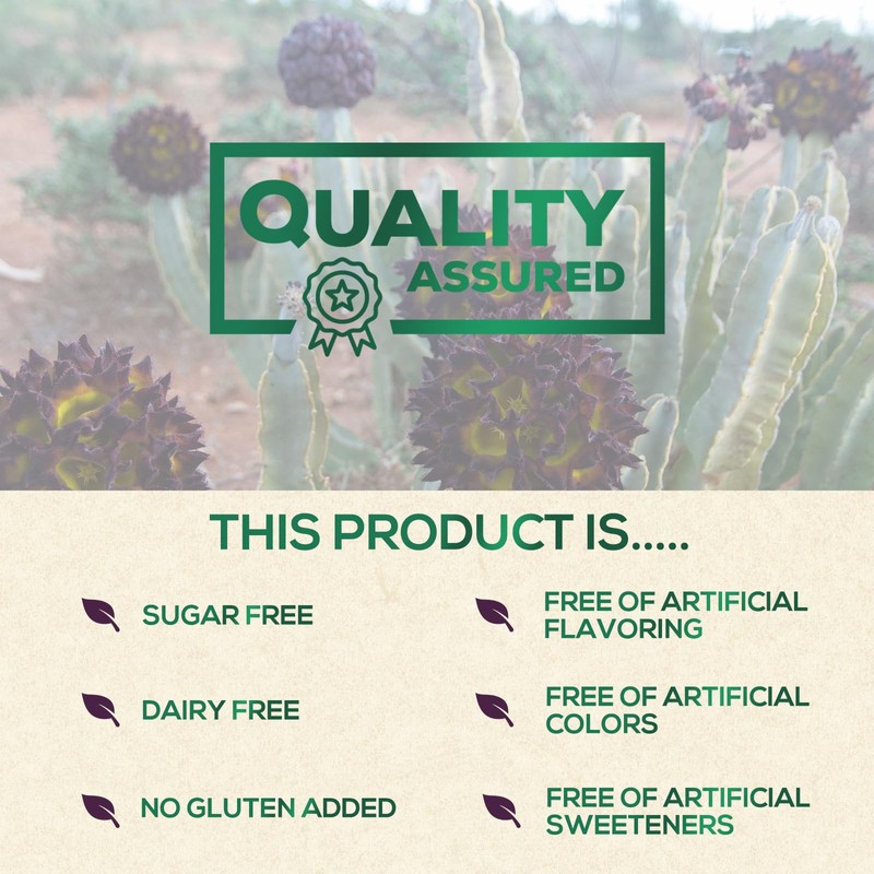 Caralluma Fimbriata Extract 1200mg - Maximum Strength Natural Caralluma Fimbriata