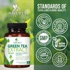 Green Tea Extract Capsules 1000mg 98% Standardized EGCG - 3X