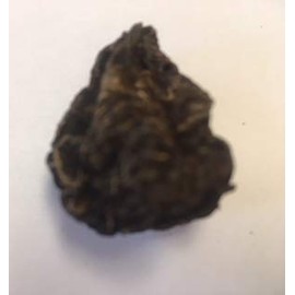 OneHigh John The Conqueror Root ~ 1 Piece with Pouch ~ Large ~ with Pouch and Info Card