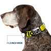 Buckle Down 15-26" Caution Yellow/Black Dog Collar Bone, Large