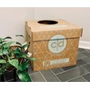 Cats Desire Litter Box - Disposable Litter Box Pack (6