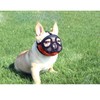 SHIAOMIN Pug French Bulldog Muzzle - French Breathable Mesh Dogs