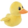 Rhode Island Novelty 16" Duck Includes 1 Stuffed Animal