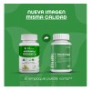 Suplemento Moringa Orgnico 60 Cpsulas De 500 Mg Bulk Superfoods